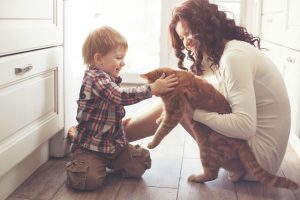 Giornata del gatto: sì, ne parliamo anche noi!